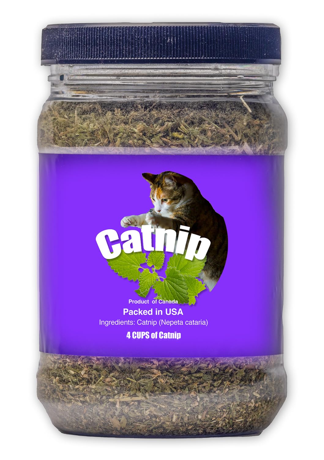 DesertUSA Catnip Blend - North American Crafted 100% Natural and Non-Addictive Catnip Treats for Enhanced Playfulness. Ideal for Complementing Catnip Toys (4 Cups) (32 oz)