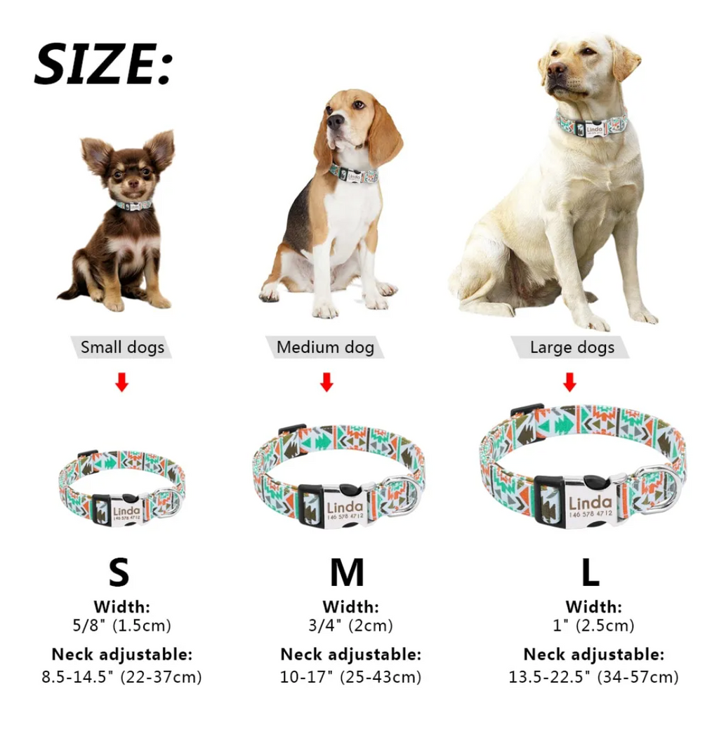 Custom Engraved Anti-Lost Dog Collar Tag