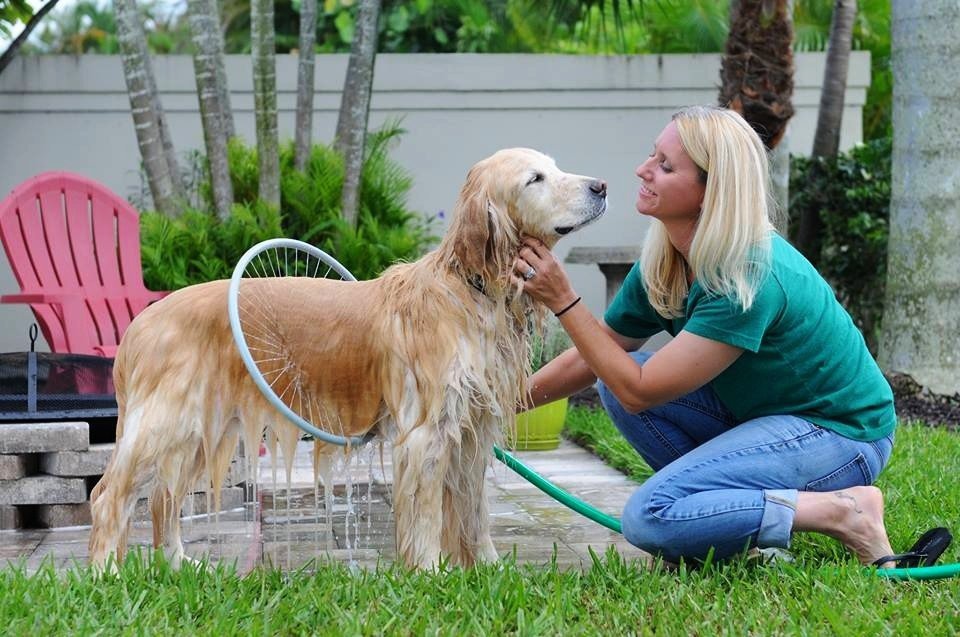 The 360 Pet Washer
